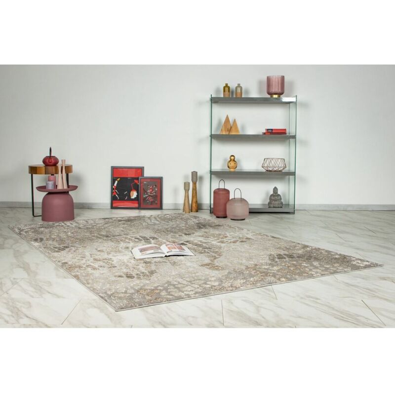 Hellocarpet - Tapis effet 3D design rectangle beige argenté Costa Beige argenté 160x230