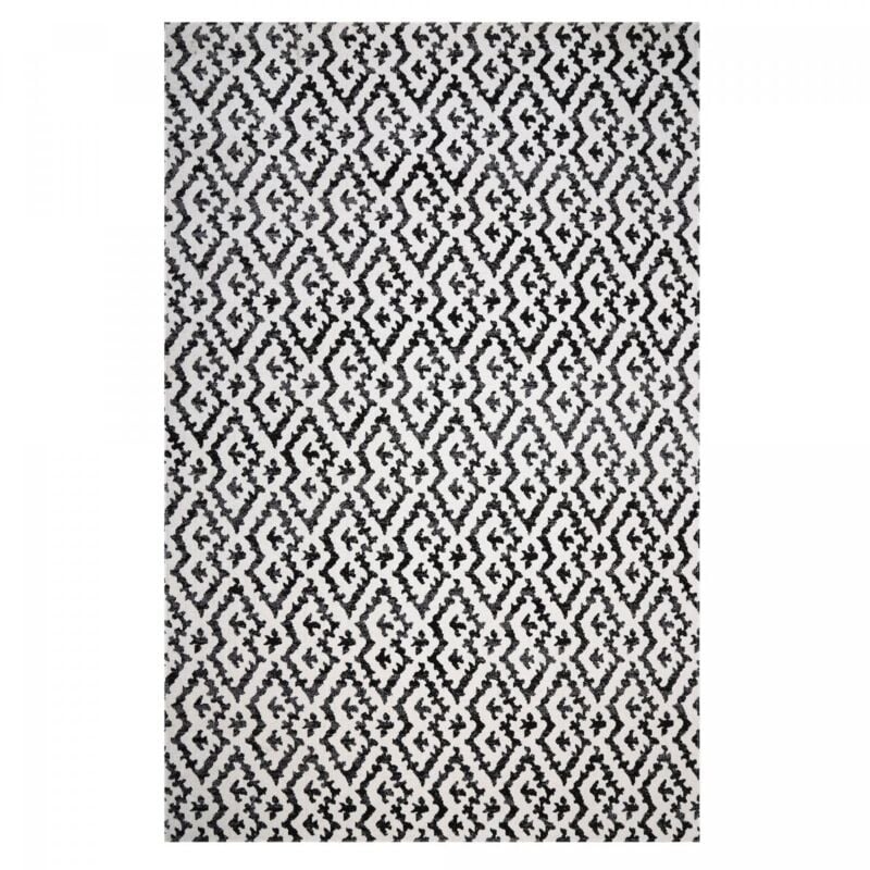 Jadorel - Tapis extérieur kilim 150x220 noir et blanc rectangle edje
