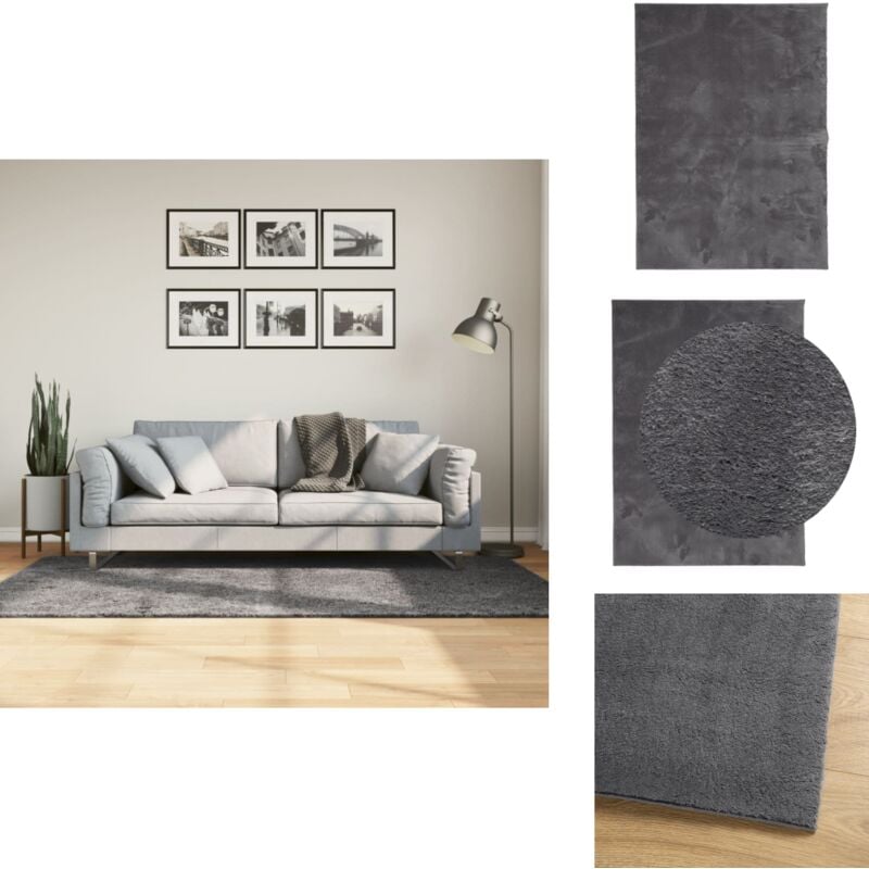 Tapis huarte à poils courts doux lavable anthracite 120x170 cm - Tapis Salon - Tapis Chambre - Tapis Décoratif - Tapis Doux - Tapis Antidérapant