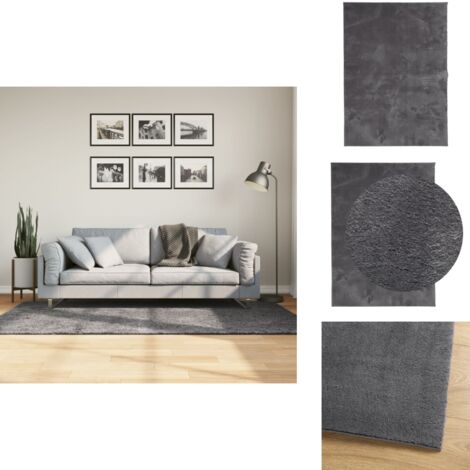 Tapis HUARTE à poils courts doux lavable anthracite 120x170 cm - Tapis Salon - Tapis Chambre - Tapis Décoratif - Tapis Doux - Tapis Antidérapant