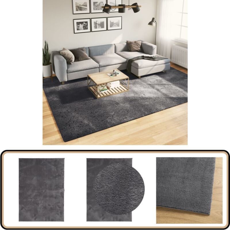 Tapis huarte à poils courts doux lavable anthracite 240x340 cm - Tapis Salon - Tapis Chambre - Tapis Décoratif - Tapis Doux - Tapis Anthracite