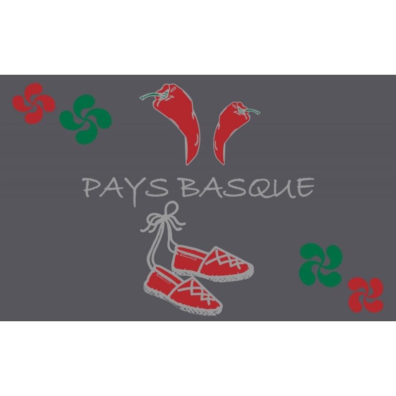 Novotex - Tapis Intérieur Anti Dérapant et Absorbant Basque Iraty 50X80cm