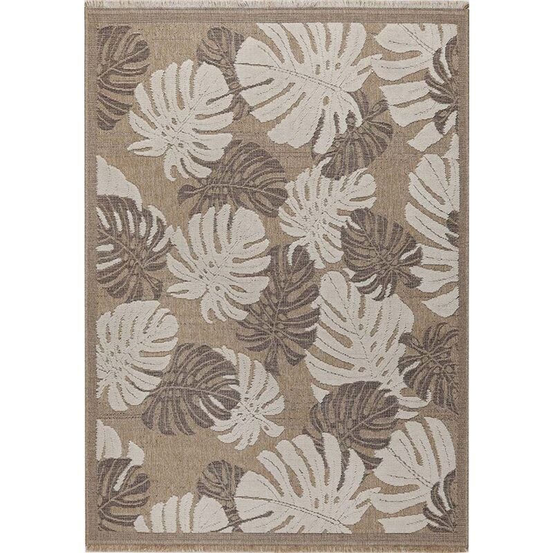 Jardindeco - Tapis intérieur extérieur aspect jute marron Tijuana 9062 170 x 120 cm