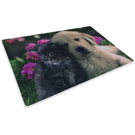 TAPIS PAILLASSON NUMÉRIQUE AMIS CM.40X60 CHIEN CHAT FLEUR