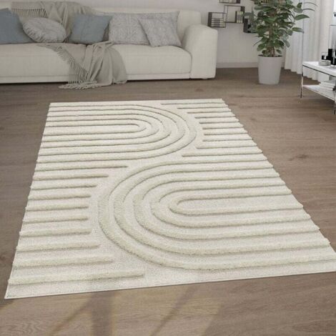 Tapis Poils Longs Tapis Salon Shaggy Aspect 3D Ethnique Boho Look Doux 120x160 cm, Crème 7