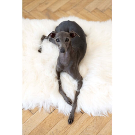 Tapis pour animaux de compagnie en peau de mouton naturelle, carré ou rectangulaire - Blanc, rectangle 70 x 100 cm