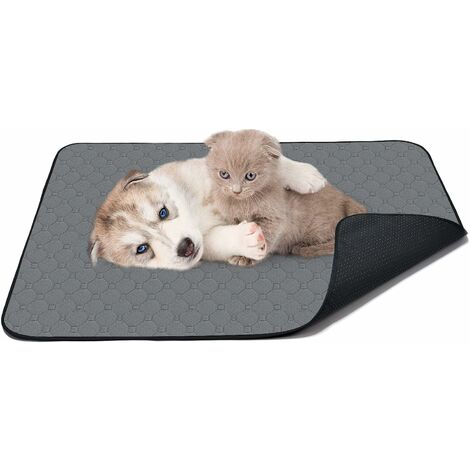 Tapis pour Chien, 100 70  Pee Pads Super Absorbant Réutilisables Tapis Éducateurs Chien Imperméable