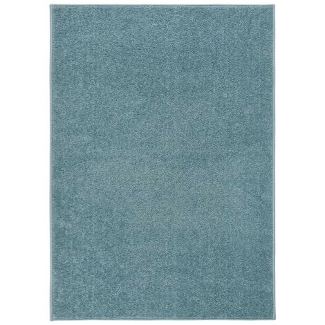 Tapis Salon Poils Courts. Bleu. 120 X 170. Design, Chaud & Confortable