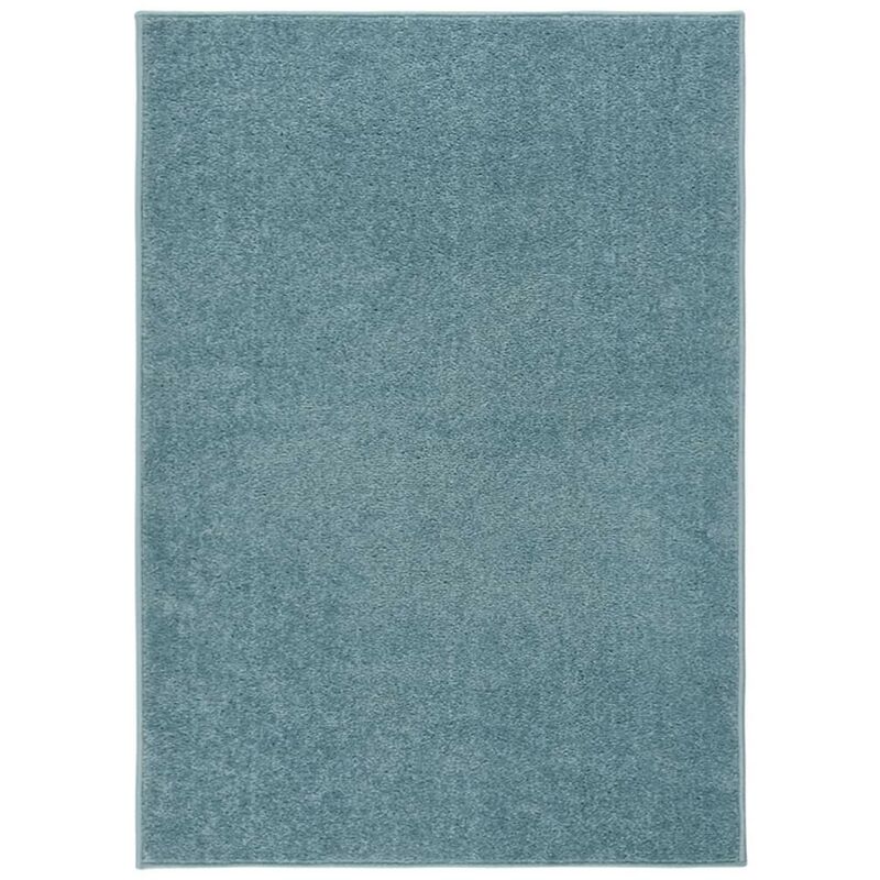 Tapis Salon Poils Courts. Bleu. 200 X 290. Design, Chaud & Confortable