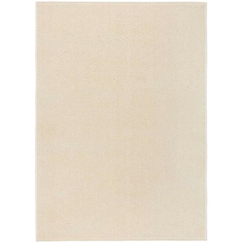 Tapis Salon Poils Courts. Crème. 240 X 340. Design, Chaud & Confortable