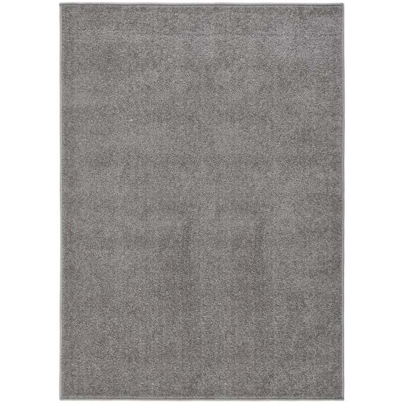 Le Poisson Qui Jardine - Tapis Salon Poils Courts. Gris. 140 x 200. Design, Chaud & Confortable - Gris