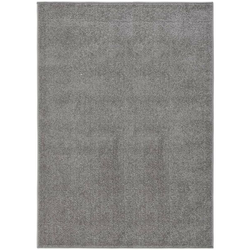 Le Poisson Qui Jardine - Tapis Salon Poils Courts. Gris. 160 x 230. Design, Chaud & Confortable - Gris