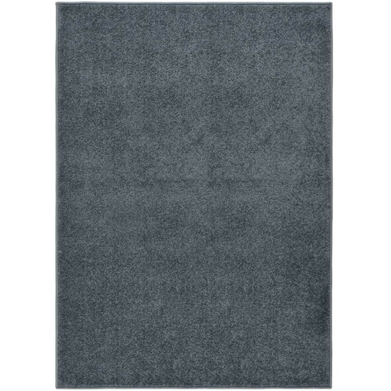 Tapis Salon Poils Courts. Gris Anthracite. 160 x 230. Design, Chaud & Confortable - Gris Anthracite