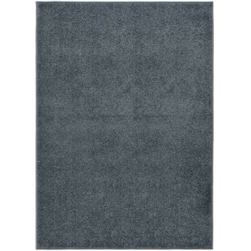 Tapis Salon Poils Courts. Gris Anthracite. 200 x 290. Design, Chaud & Confortable - Gris Anthracite