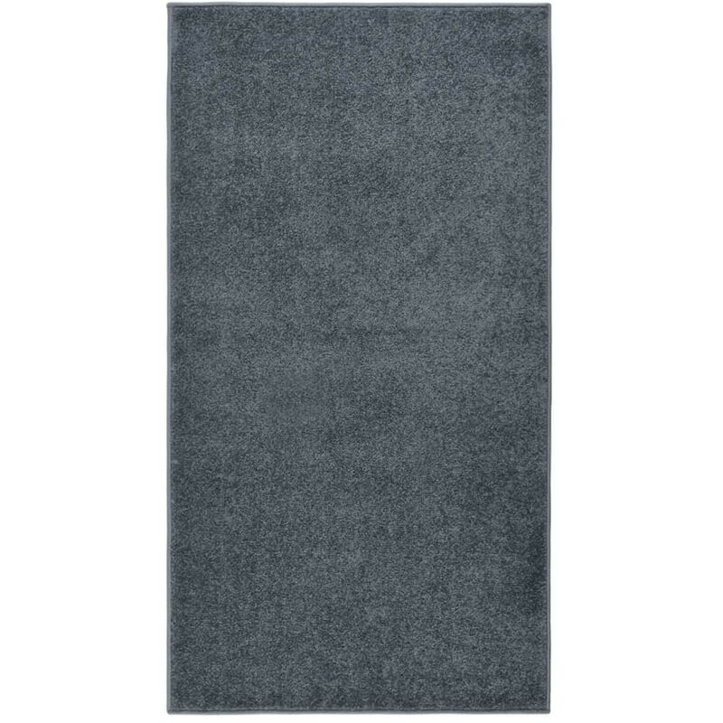 Tapis Salon Poils Courts. Gris Anthracite. 80 x 150. Design, Chaud & Confortable - Gris Anthracite