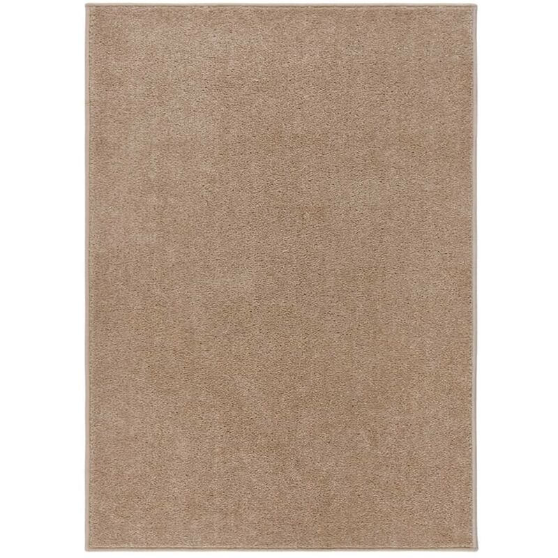 Tapis Salon Poils Courts. Marron. 200 x 290. Design, Chaud & Confortable - Marron