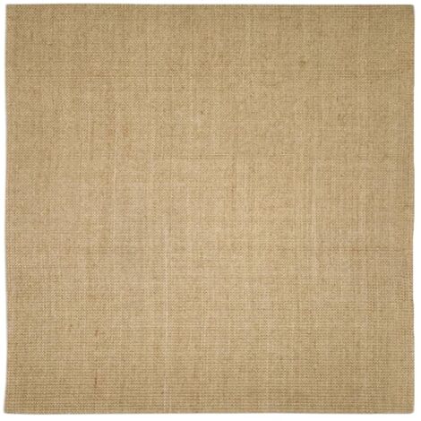 Tapis Salon  Tapis Chambre  Tapis en sisal pour griffoir 100x100 cm CFW72392