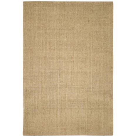 Tapis Salon  Tapis Chambre  Tapis en sisal pour griffoir 100x150 cm CFW99954