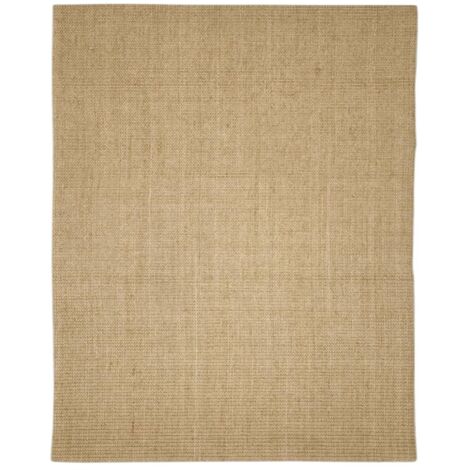 Tapis Salon  Tapis Chambre  Tapis en sisal pour griffoir 80x100 cm CFW53865