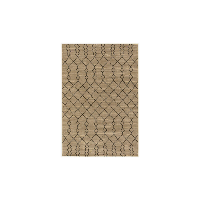 Décoweb - Tapis Salon / Terrasse - Scandinave - Marron et noir - 200 x 290 cm