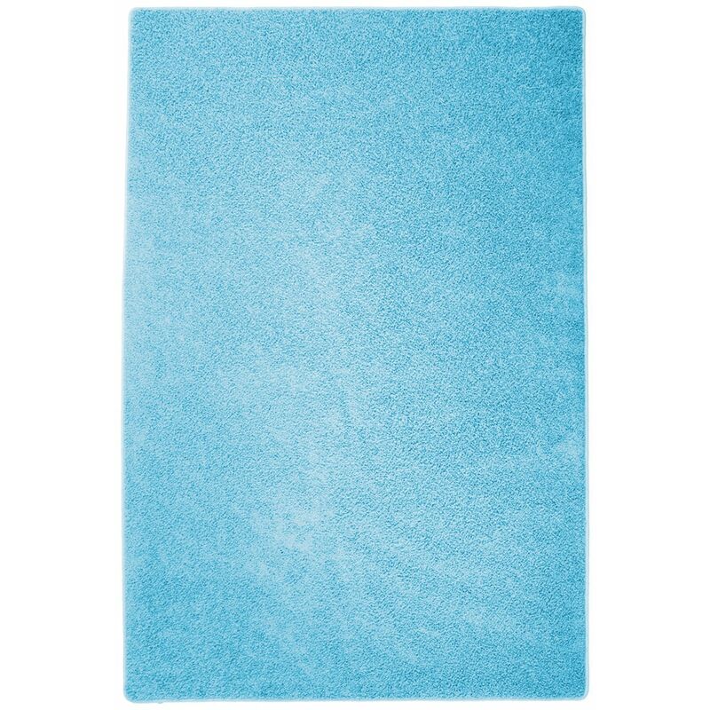Floordirekt - Tapis Shaggy à poils longs Bleu 160 x 230 cm
