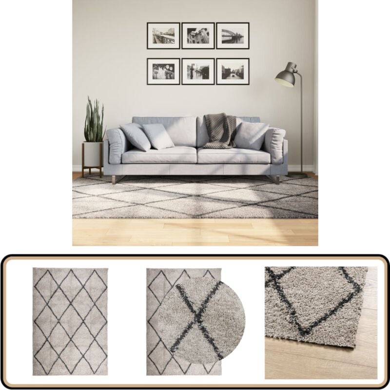 Tapis shaggy à poils longs moderne beige anthracite 160x230 cm - Tapis Shag - Tapis Long Poil - Tapis Design - Tapis Salon - Tapis Chambre
