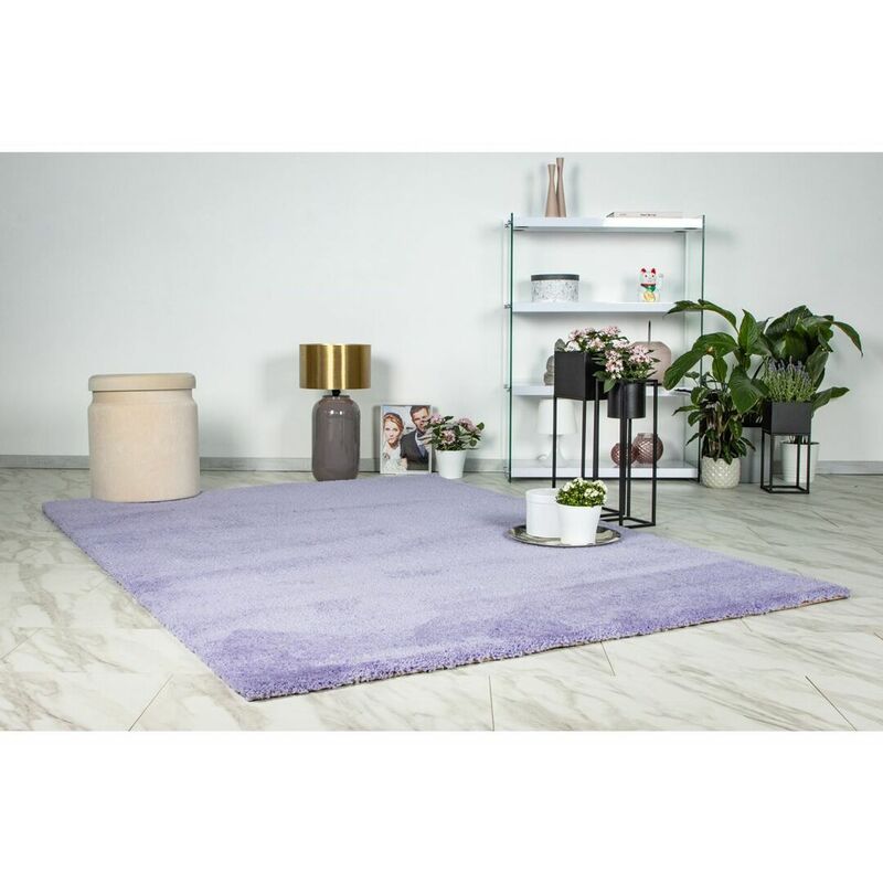 Hellocarpet - Tapis shaggy doux rectangle uni Windsor Lavande 120x170