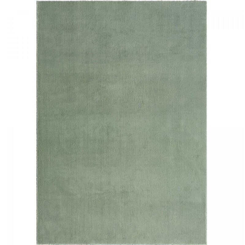 Tapis LAVABLE 30°C 200x280 Vert Clair, tapis shaggy uni à longs poils