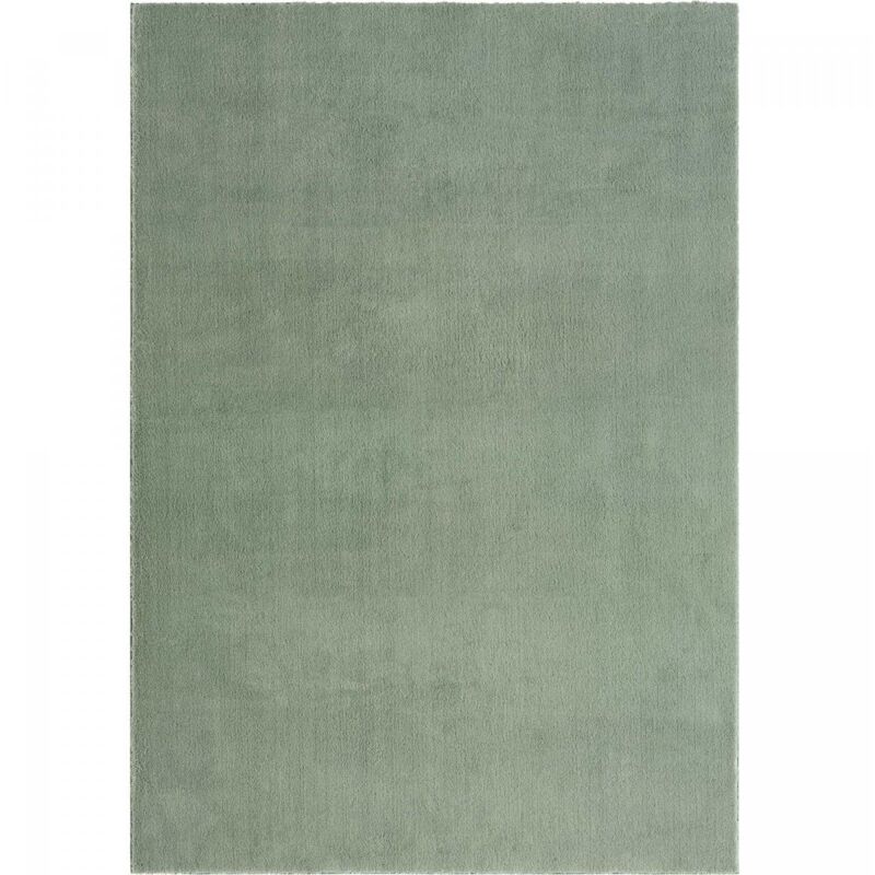 Unamourdetapis - Tapis lavable 30°C 60x110 Vert Clair, tapis shaggy uni à longs poils