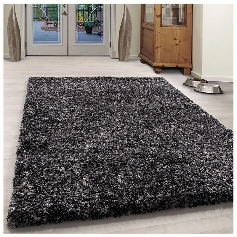 Allotapis - Tapis shaggy rectangle bicolore moderne Benno Anthracite 160x230