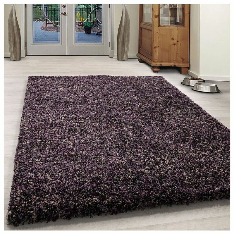 Allotapis - Tapis shaggy rectangle bicolore moderne Benno Violet 140x200
