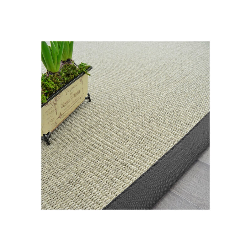 Décoweb - Tapis Sisal Quintana blanchi - Ganse coton anthracite - 200 x 290 cm