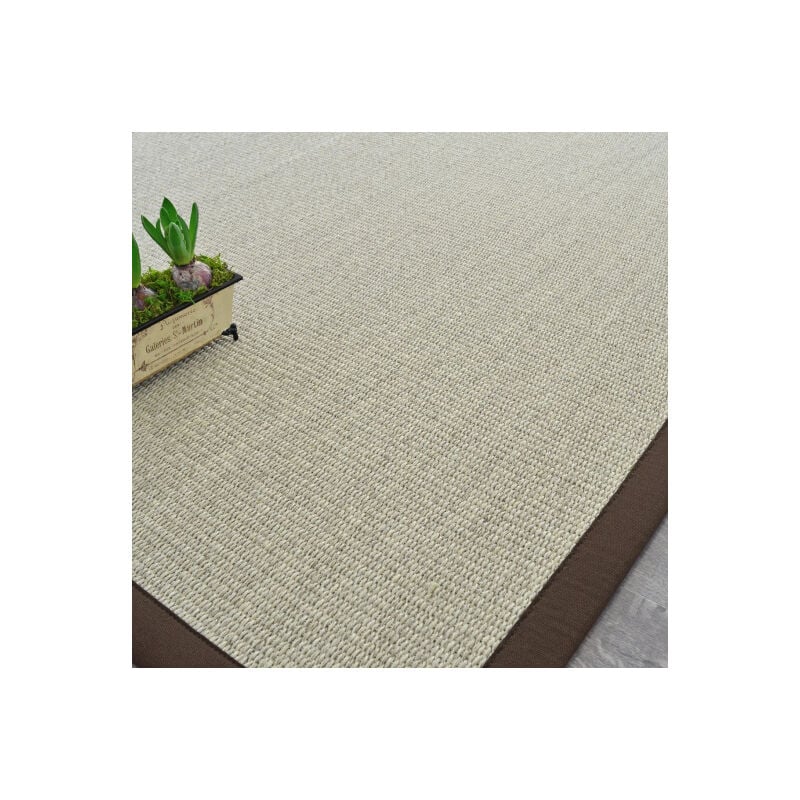 Décoweb - Tapis Sisal Quintana blanchi - Ganse polypropylène chocolat - 200 x 200 cm