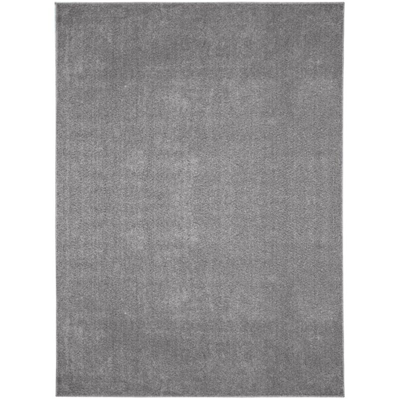 Tapis uni de Salon Chambre Relax Sobre et Epuré (Gris clair - 160x230cm)