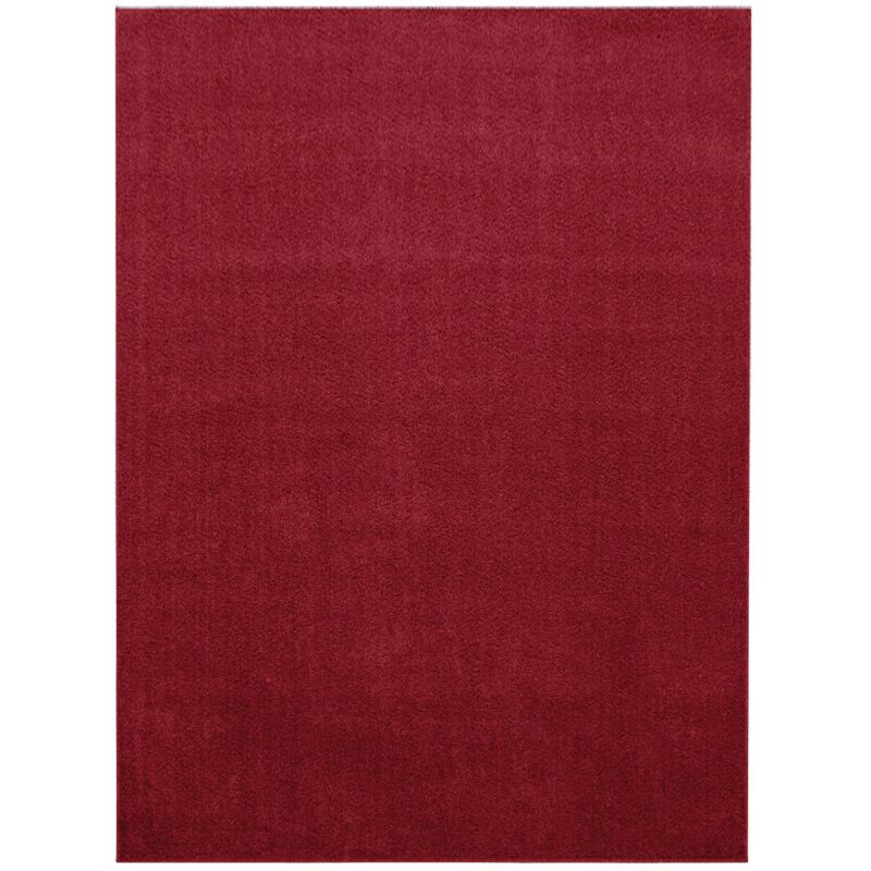 Tapis uni de Salon Chambre Relax Sobre et Epuré (Rouge - 80x150cm)