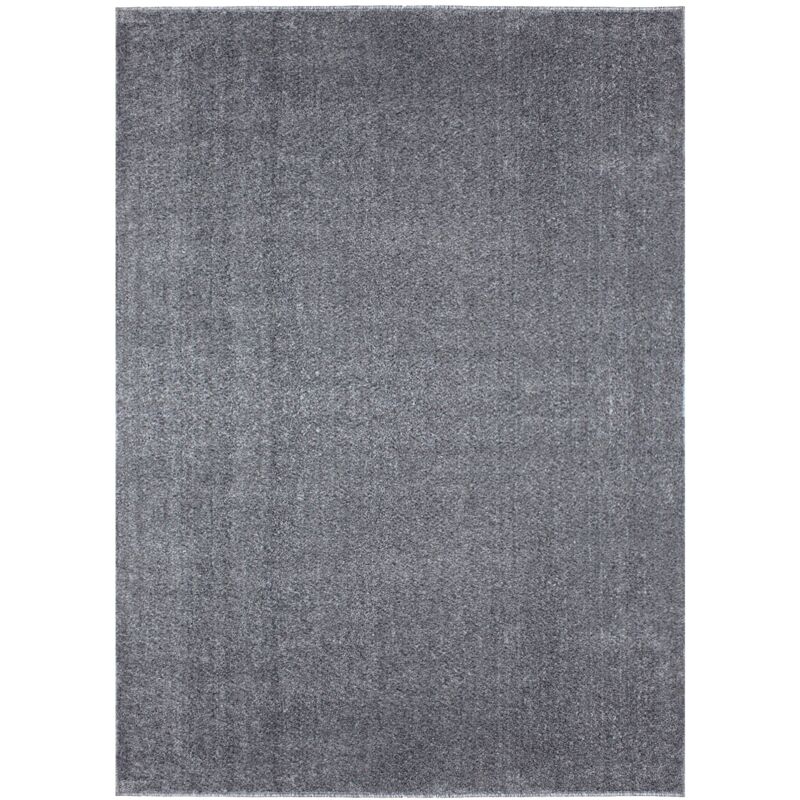 Tapis uni de Salon Chambre Relax Sobre et Epuré (Anthracite - 160x230cm)