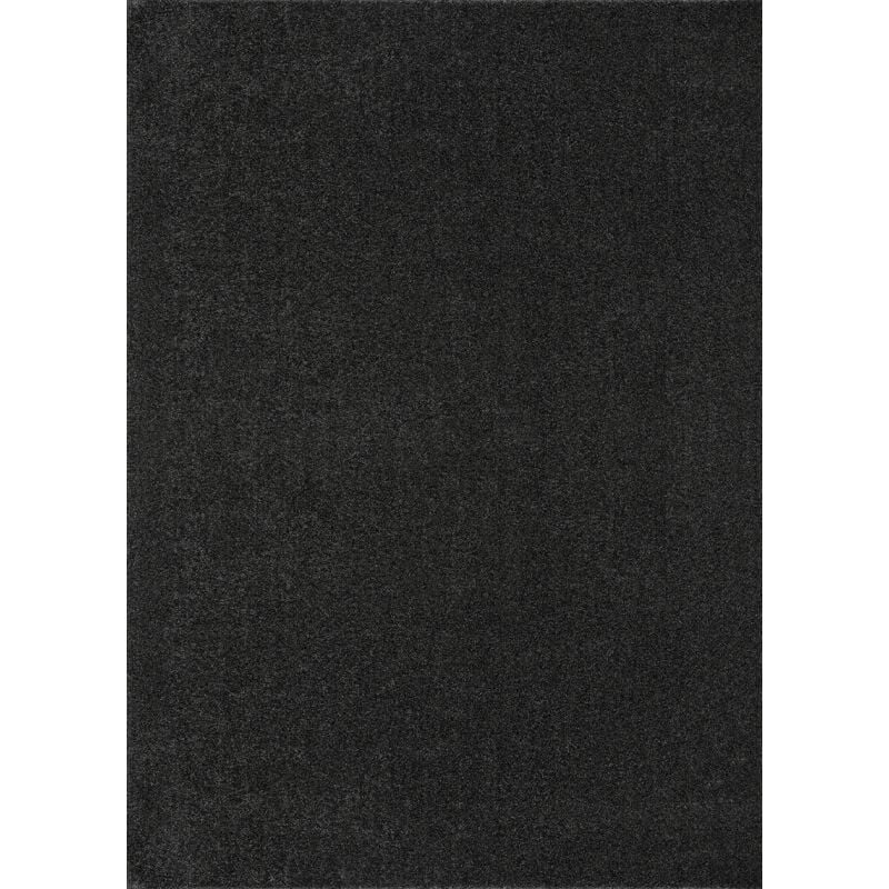 Tapis uni poils courts montana - Gris anthracite, rectangle, 160x230 cm