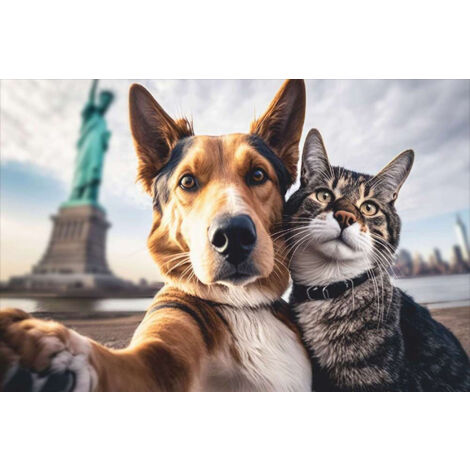 Tapis Velvet Cat & Dog Selfie Ny 45x75cm - Mercury