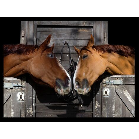 TAPIS VELVET DEUX CHEVEAUX 45X75 MERCURY A5160-1