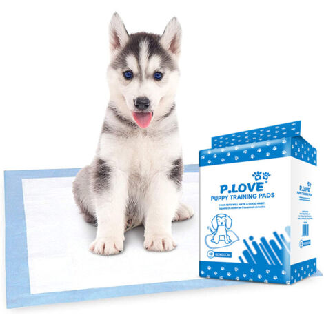 Tappetini assorbenti per cani e cuccioli, impermeabili e ad asciugatura rapida, adatti per l'addestramento al vasino, capacità di assorbimento standard, dimensioni normali, L 6060cm/40 pezzi