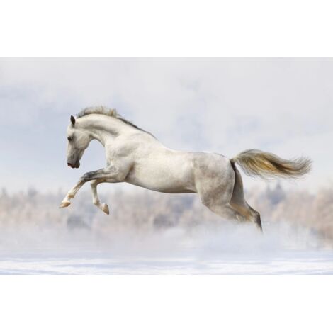 Tappetino magnetico per copritermosifone White Horse Galop 60x100cm