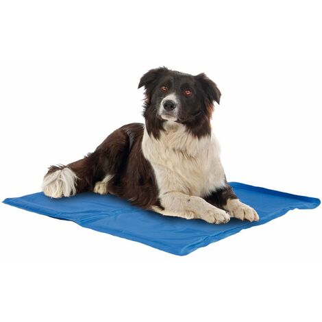 Tappetino refrigerante e spugna all'interno Fresh per cani e gatti: 50x40 cm Blu