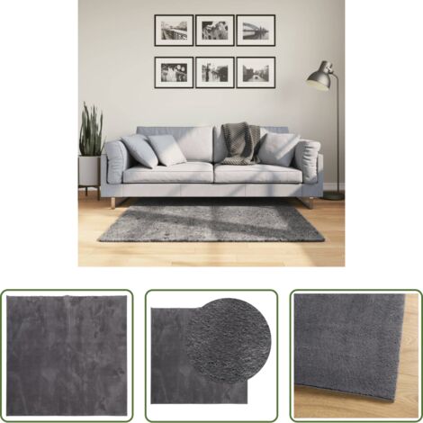 Tappeto antiscivolo -  Tappeto Pelo Corto HUARTE Morbido Lavabile Antracite 120x120 cm
