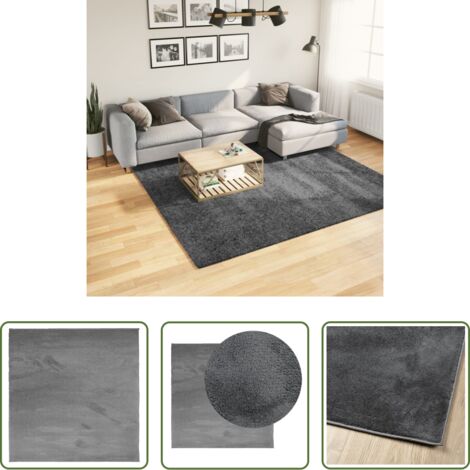 Tappeto antracite -  Tappeto OVIEDO a Pelo Corto Antracite 240x240 cm