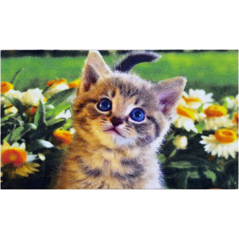 Tappeto decorativo GATTO HDI