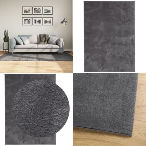 Tappeto Pelo Corto HUARTE Morbido Lavabile Antracite 120x170 cm - Tappeto antiscivolo - Tappeto per casa