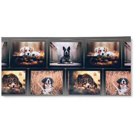 TAPPETO Runner da CUCINA Passatoia Antiscivolo CANE Cani Made in Italy Cm. 50x100