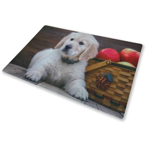 TAPPETO ZERBINO DIGITAL CM.40X60 CANE CUCCIOLO LABRADOR