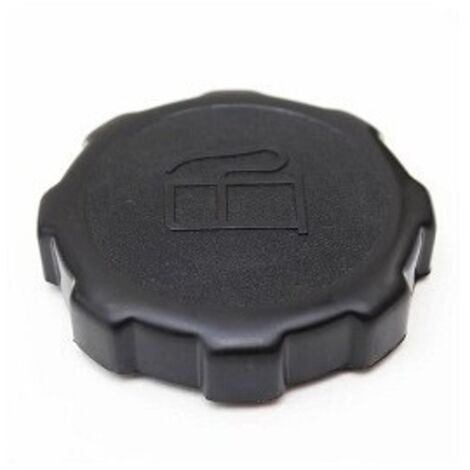 Tappo carburante 550 750 VANGUARD 5,5 6,5 8 10HP BRIGGS&STRATTON 202043 794641