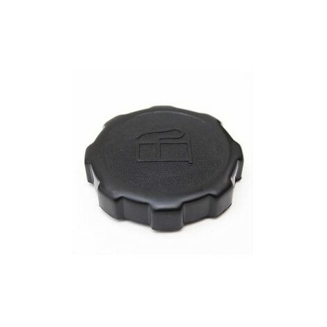 Tappo carburante 550 750 VANGUARD 5,5 6,5 8 10HP BRIGGS&STRATTON 202043 794641